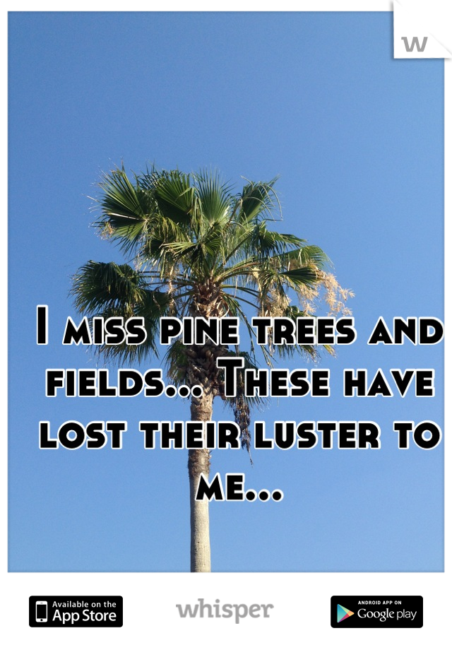 I miss pine trees and fields... These have lost their luster to me...