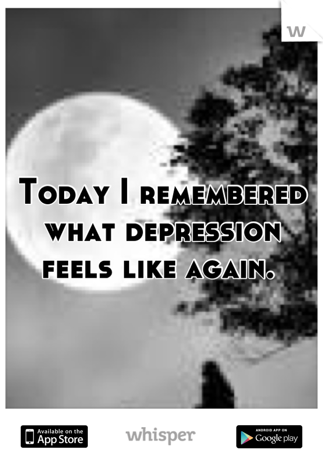 Today I remembered what depression feels like again. 