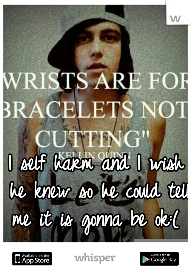 I self harm and I wish he knew so he could tell me it is gonna be ok:(
