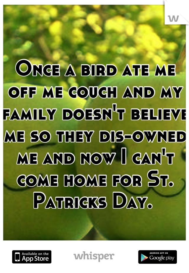 Once a bird ate me off me couch and my family doesn't believe me so they dis-owned me and now I can't come home for St. Patricks Day. 