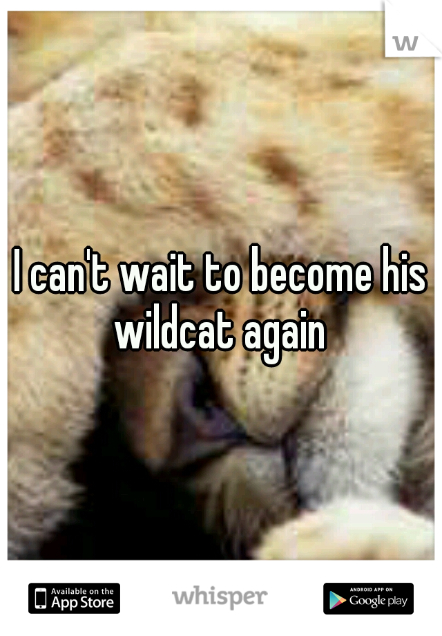 I can't wait to become his wildcat again 