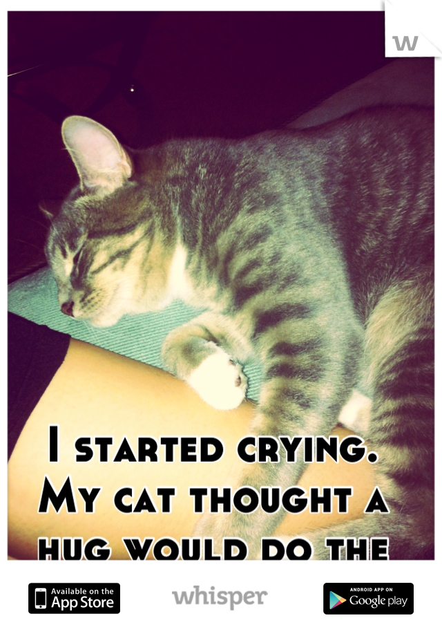 I started crying. 
My cat thought a hug would do the trick. <3 