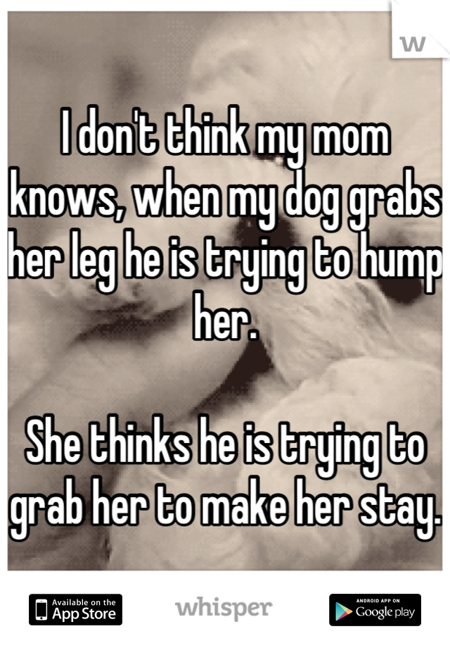 I don't think my mom knows, when my dog grabs her leg he is trying to hump her.

She thinks he is trying to grab her to make her stay.