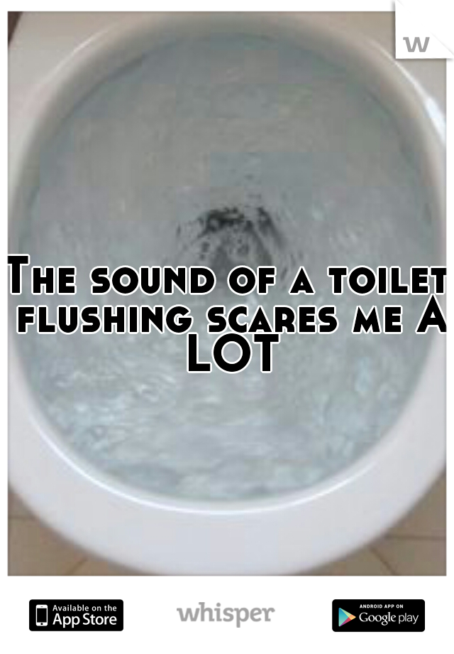 The sound of a toilet flushing scares me A LOT