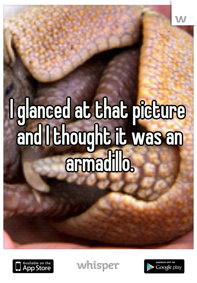 I glanced at that picture and I thought it was an armadillo.