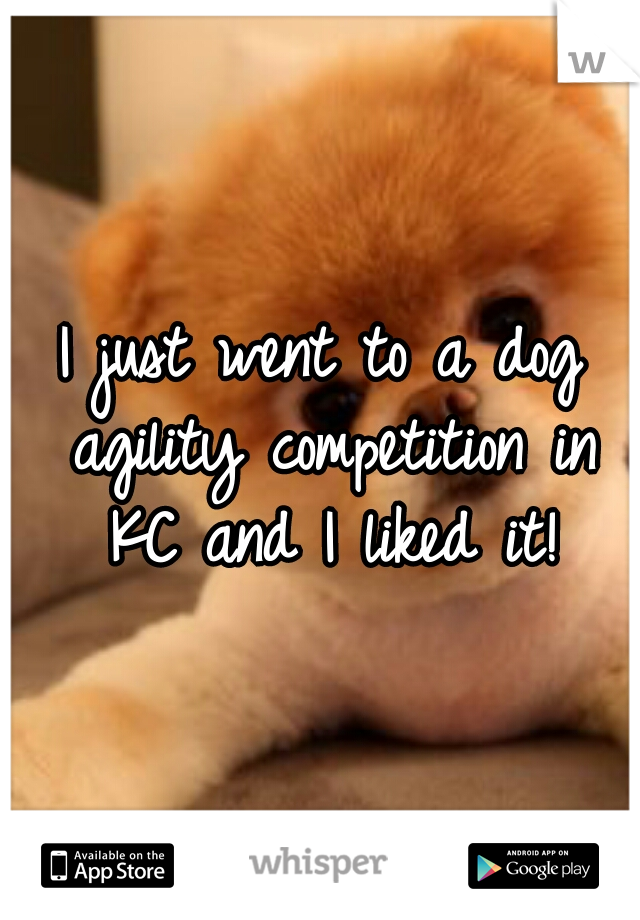 I just went to a dog agility competition in KC and I liked it!