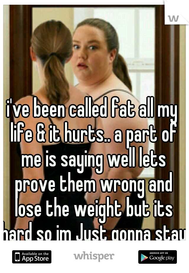 i've been called fat all my life & it hurts.. a part of me is saying well lets prove them wrong and lose the weight but its hard so im Just gonna stay fat .
