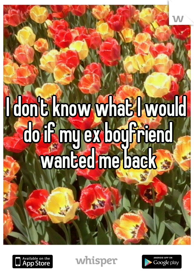 I don't know what I would do if my ex boyfriend wanted me back