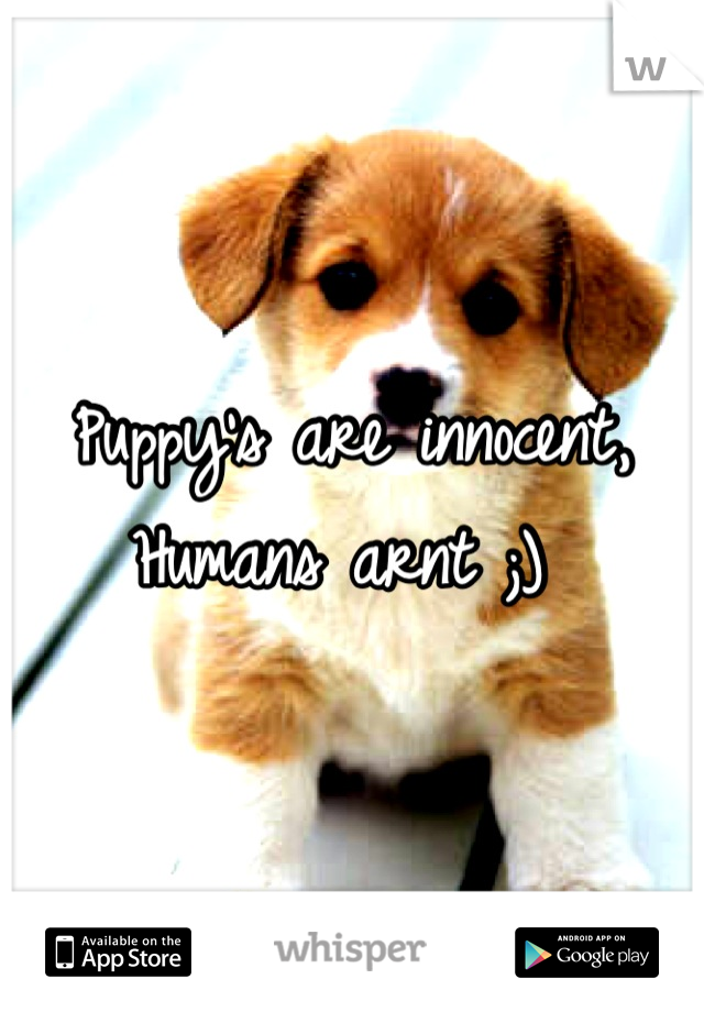 Puppy's are innocent,
Humans arnt ;) 