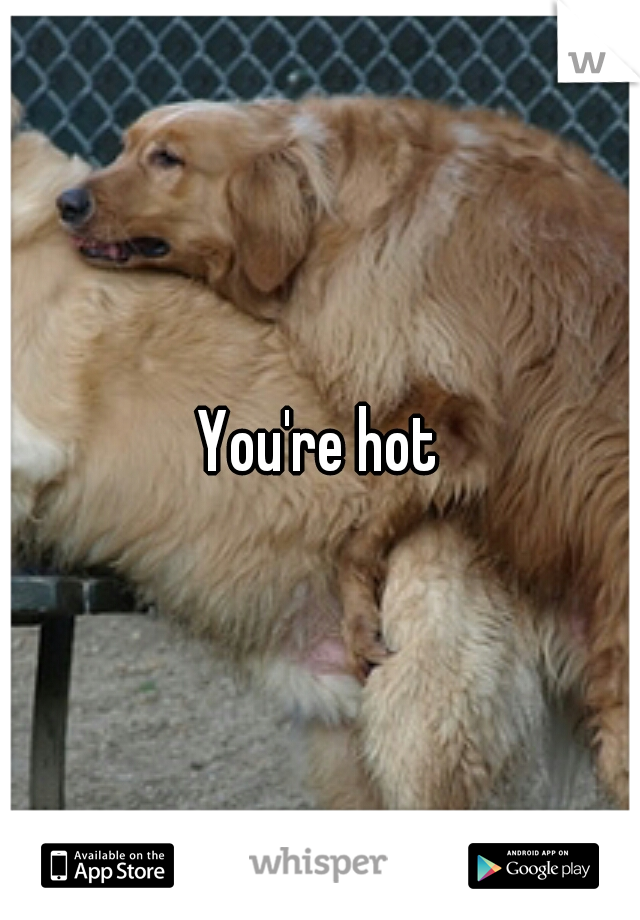 You're hot