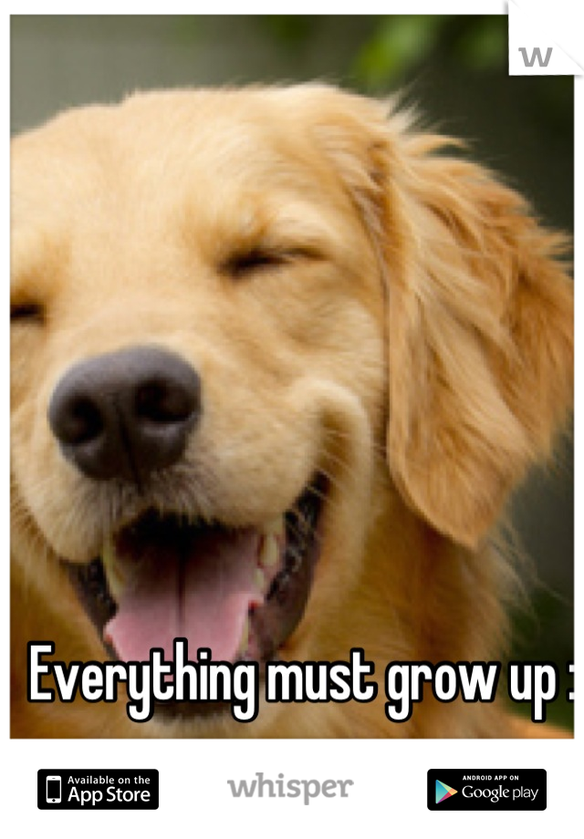 Everything must grow up :)