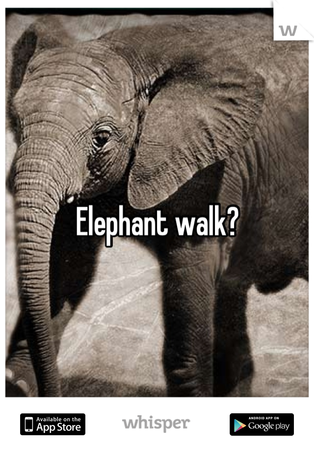 Elephant walk?