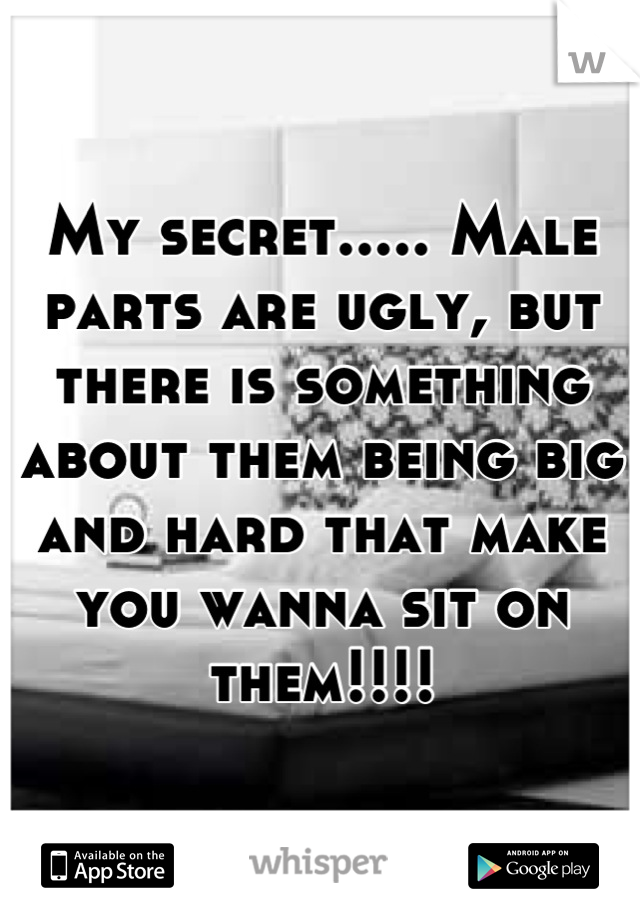 My secret..... Male parts are ugly, but there is something about them being big and hard that make you wanna sit on them!!!!