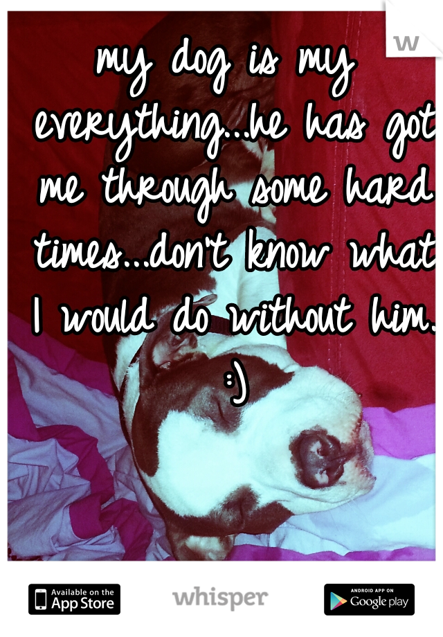 my dog is my everything...he has got me through some hard times...don't know what I would do without him. :)