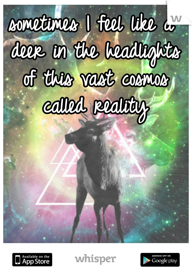 sometimes I feel like a deer in the headlights of this vast cosmos called reality