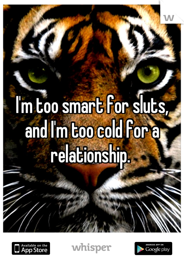 I'm too smart for sluts, and I'm too cold for a relationship. 