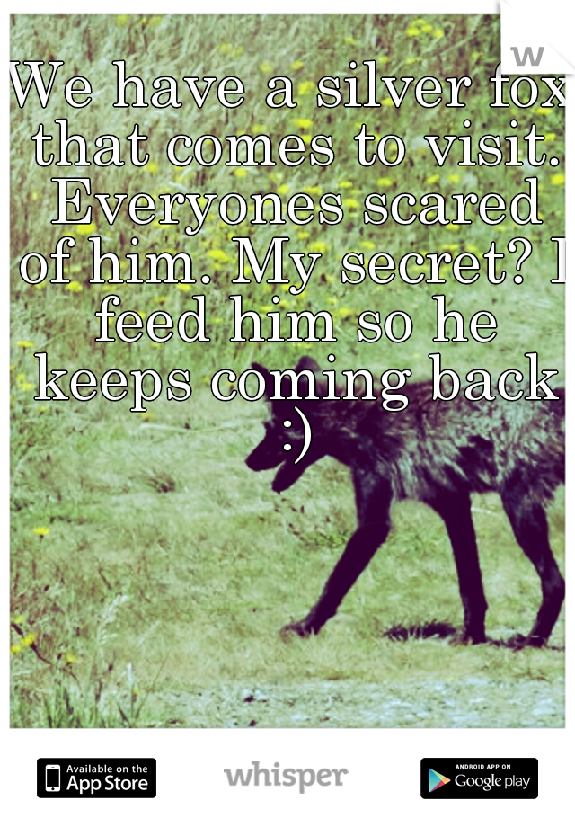 We have a silver fox that comes to visit. Everyones scared of him. My secret? I feed him so he keeps coming back :)