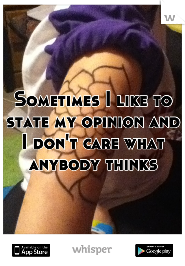 Sometimes I like to state my opinion and I don't care what anybody thinks