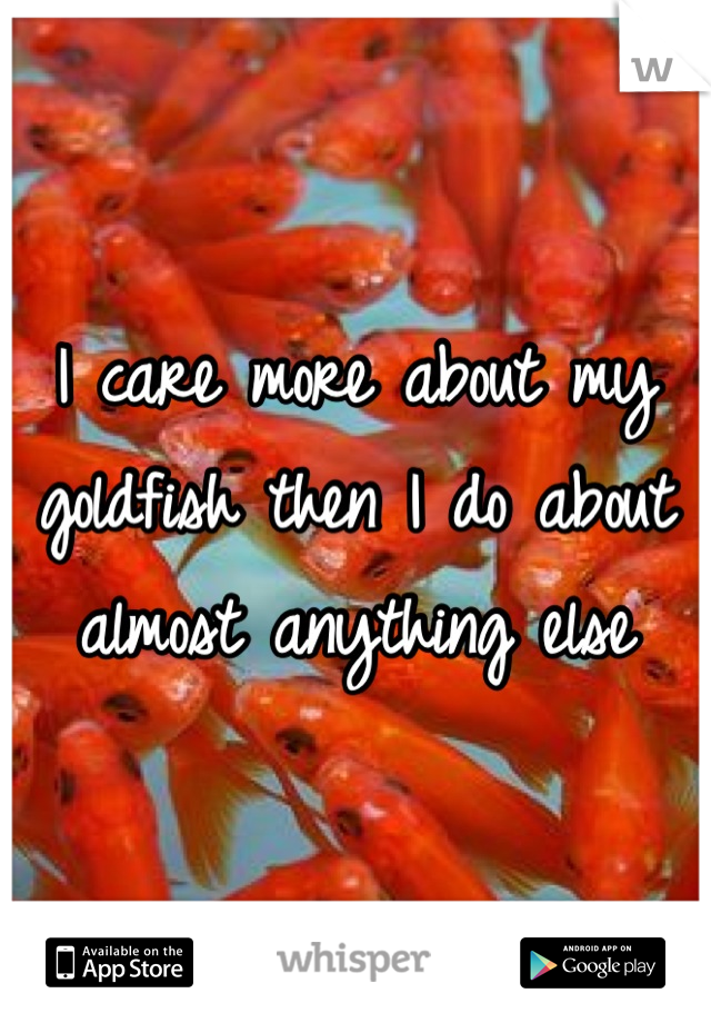 I care more about my goldfish then I do about almost anything else