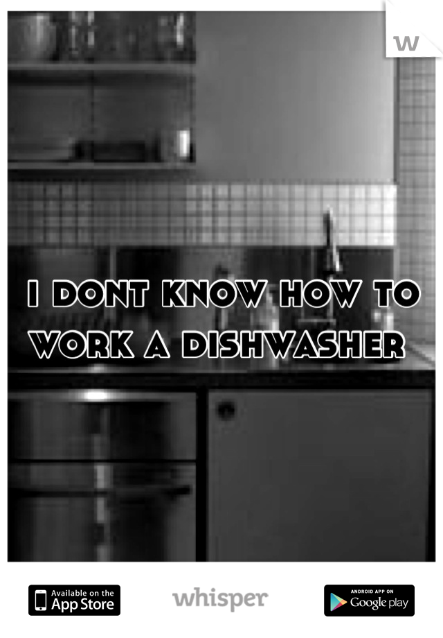 i dont know how to work a dishwasher 