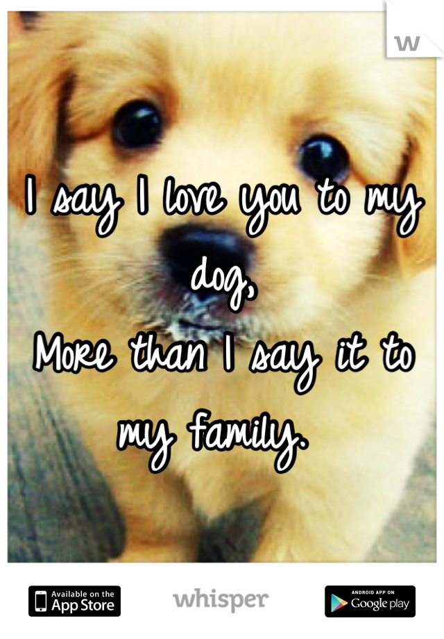 I say I love you to my dog, 
More than I say it to my family. 