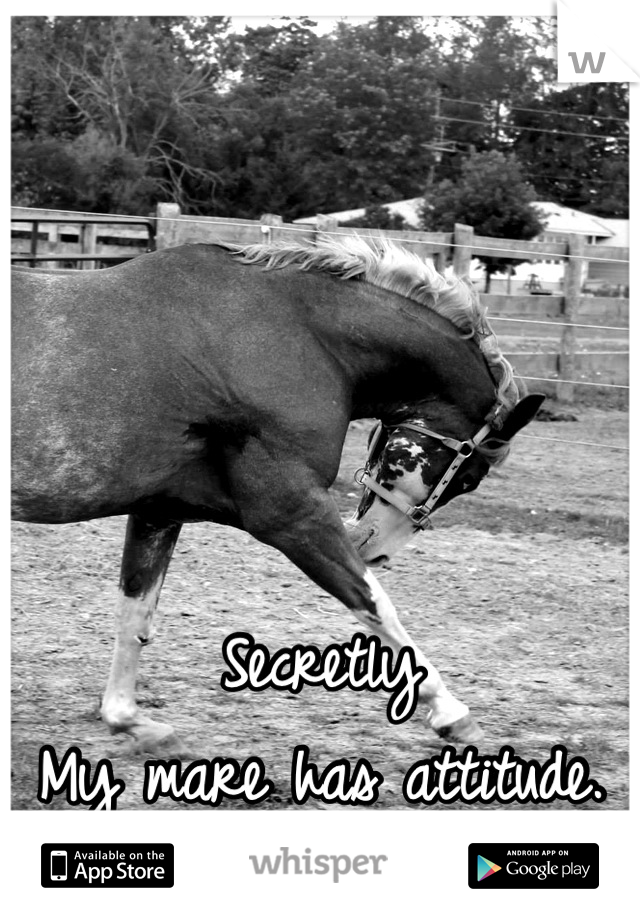 Secretly
My mare has attitude.
And I love it.