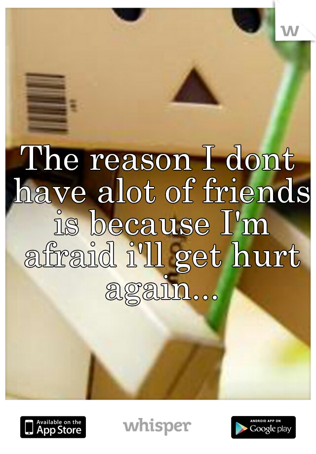 The reason I dont have alot of friends is because I'm afraid i'll get hurt again...