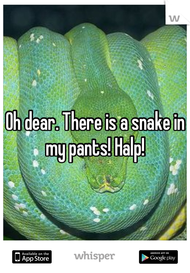 Oh dear. There is a snake in my pants! Halp!