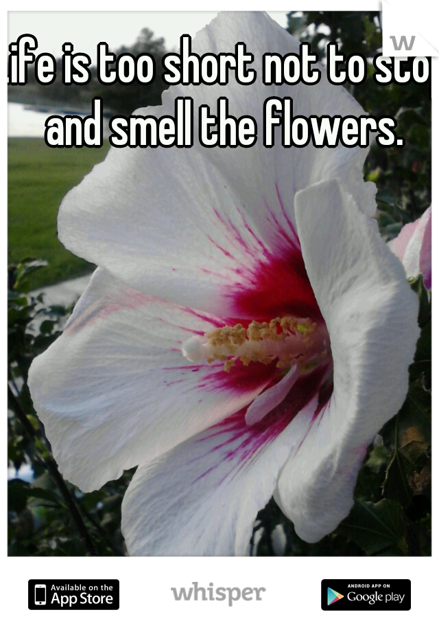 Life is too short not to stop and smell the flowers.