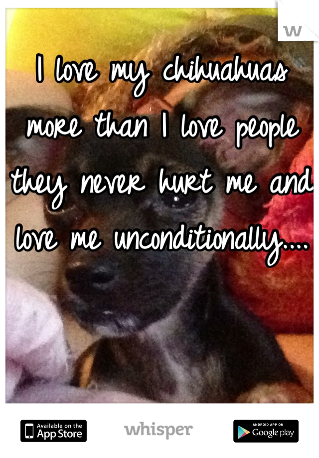 I love my chihuahuas more than I love people they never hurt me and love me unconditionally....