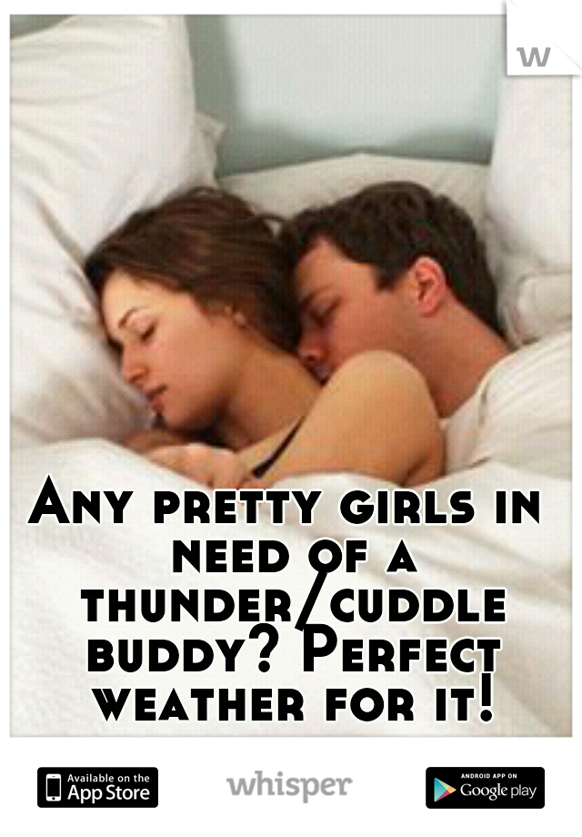 Any pretty girls in need of a thunder/cuddle buddy? Perfect weather for it!