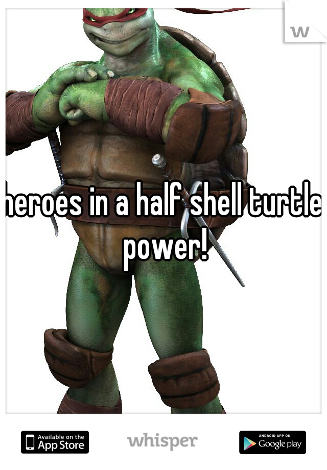 heroes in a half shell turtle power!