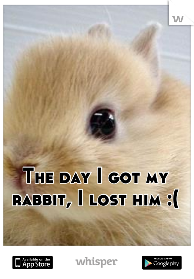 The day I got my rabbit, I lost him :(