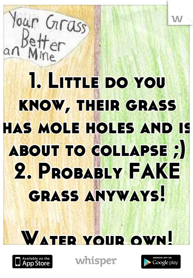 

1. Little do you know, their grass has mole holes and is about to collapse ;)
2. Probably FAKE grass anyways!

Water your own!