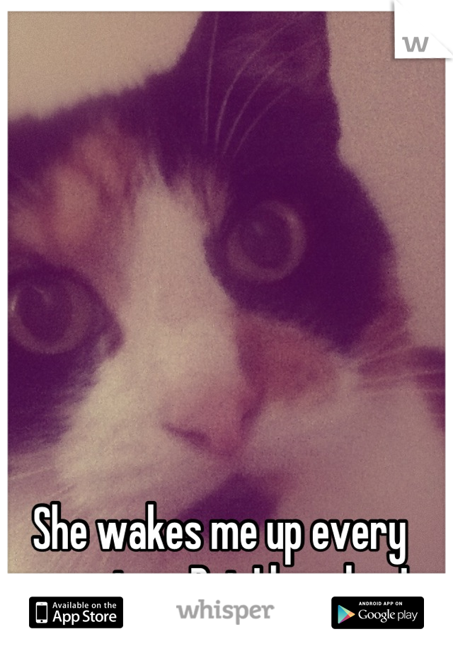 She wakes me up every morning... But I love her!