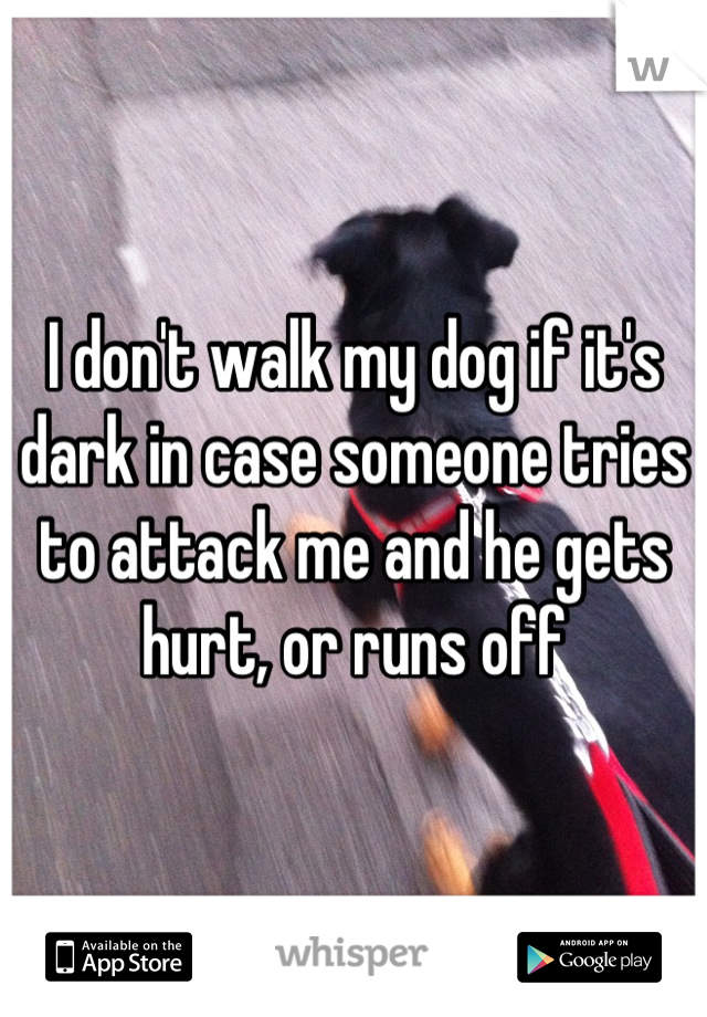 I don't walk my dog if it's dark in case someone tries to attack me and he gets hurt, or runs off