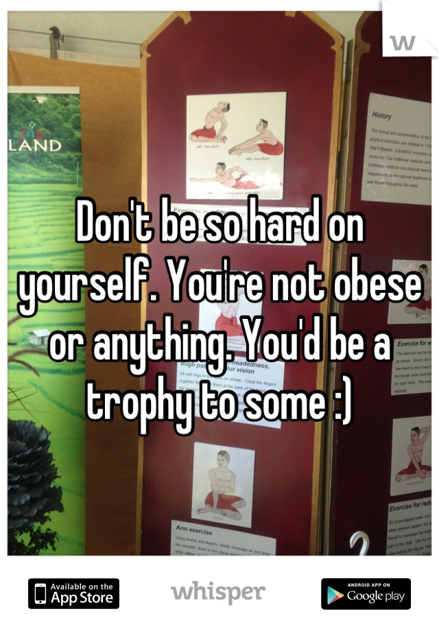 Don't be so hard on yourself. You're not obese or anything. You'd be a trophy to some :)