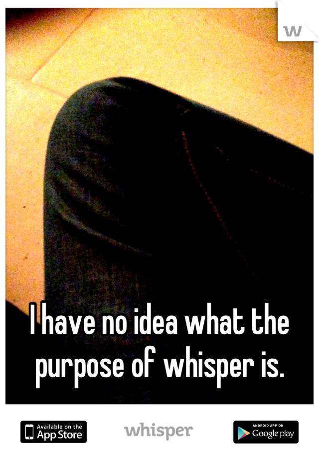 I have no idea what the purpose of whisper is.