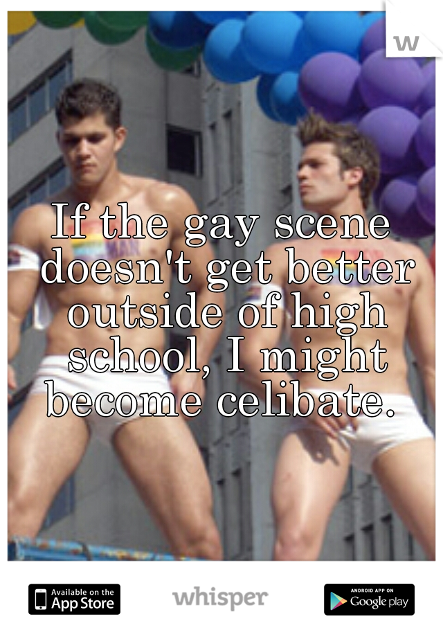 If the gay scene doesn't get better outside of high school, I might become celibate. 