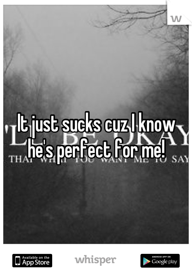 It just sucks cuz I know he's perfect for me!