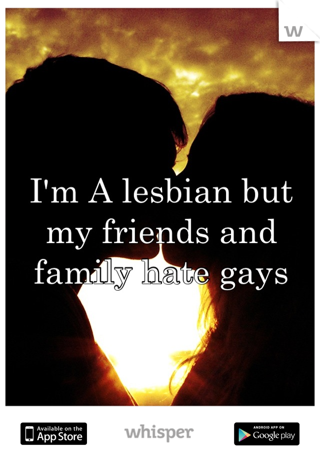 I'm A lesbian but my friends and family hate gays