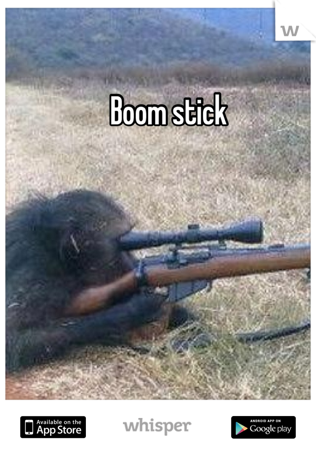 Boom stick