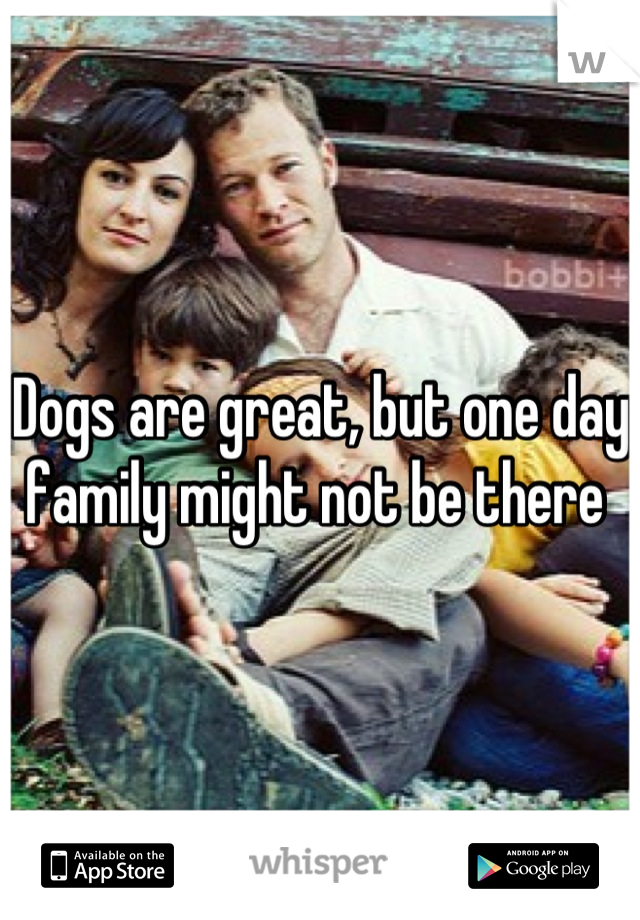 Dogs are great, but one day family might not be there 