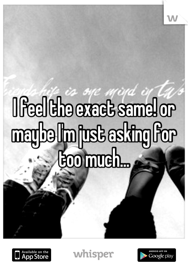 I feel the exact same! or maybe I'm just asking for too much...