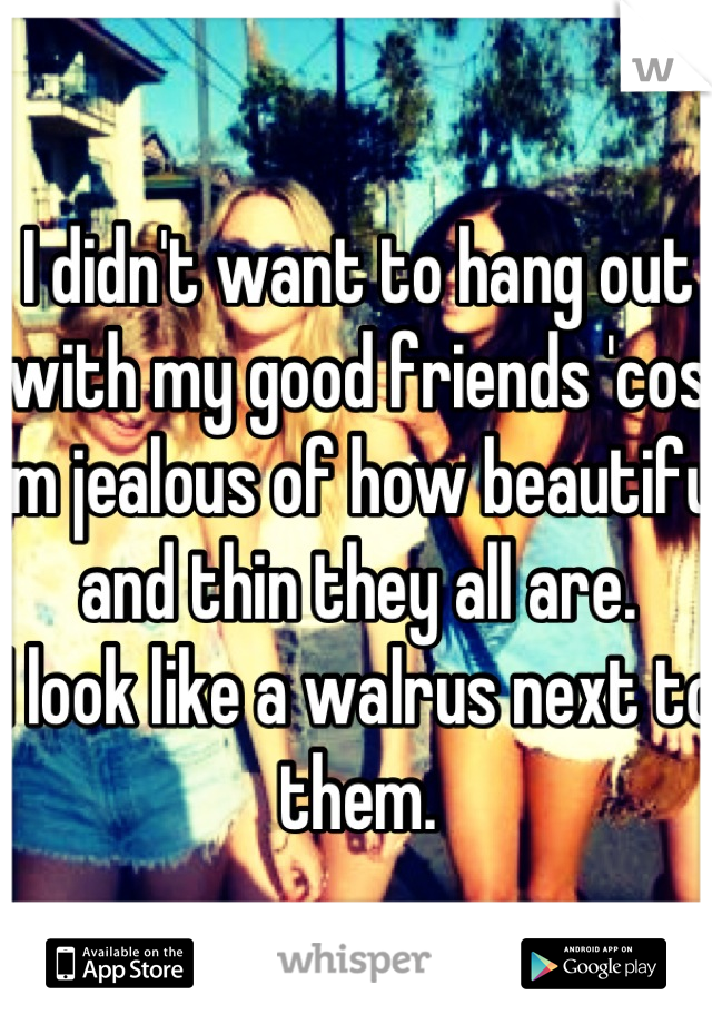 I didn't want to hang out with my good friends 'cos I'm jealous of how beautiful and thin they all are. 
I look like a walrus next to them.