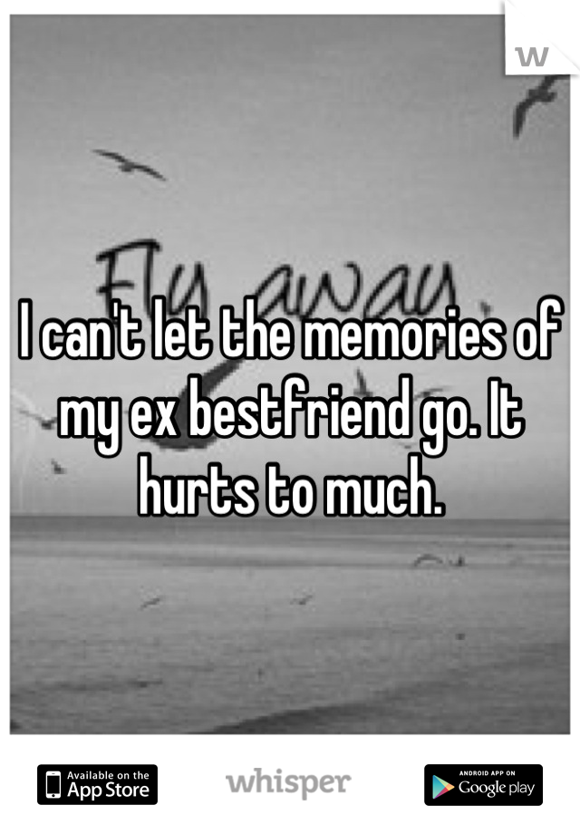 I can't let the memories of my ex bestfriend go. It hurts to much.