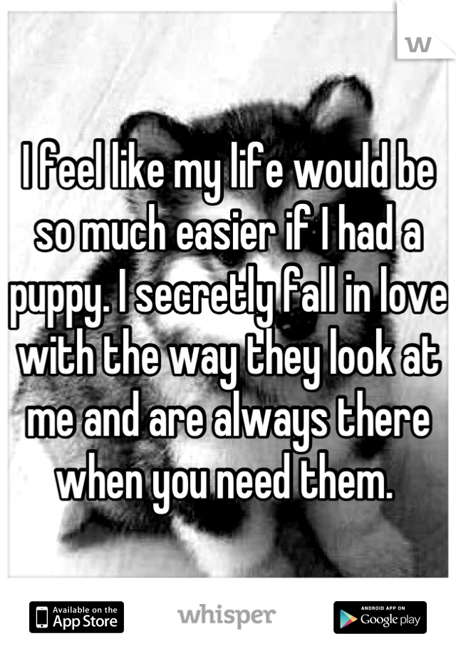 I feel like my life would be so much easier if I had a puppy. I secretly fall in love with the way they look at me and are always there when you need them. 