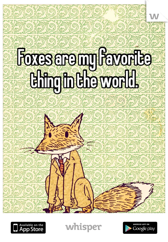 Foxes are my favorite thing in the world.