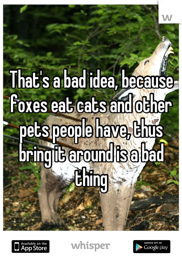 That's a bad idea, because foxes eat cats and other pets people have, thus bring it around is a bad thing