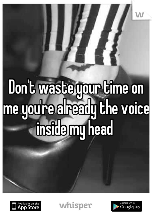 Don't waste your time on me you're already the voice inside my head 